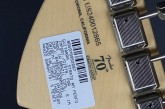 Fender American Performer HSS Aubergine-7.jpg